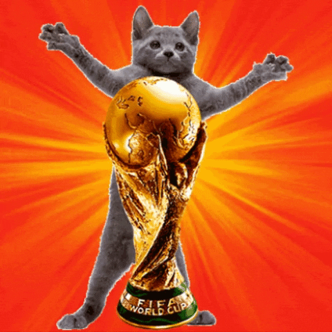 Nos encantan los GIF - Copa Mundial 2026